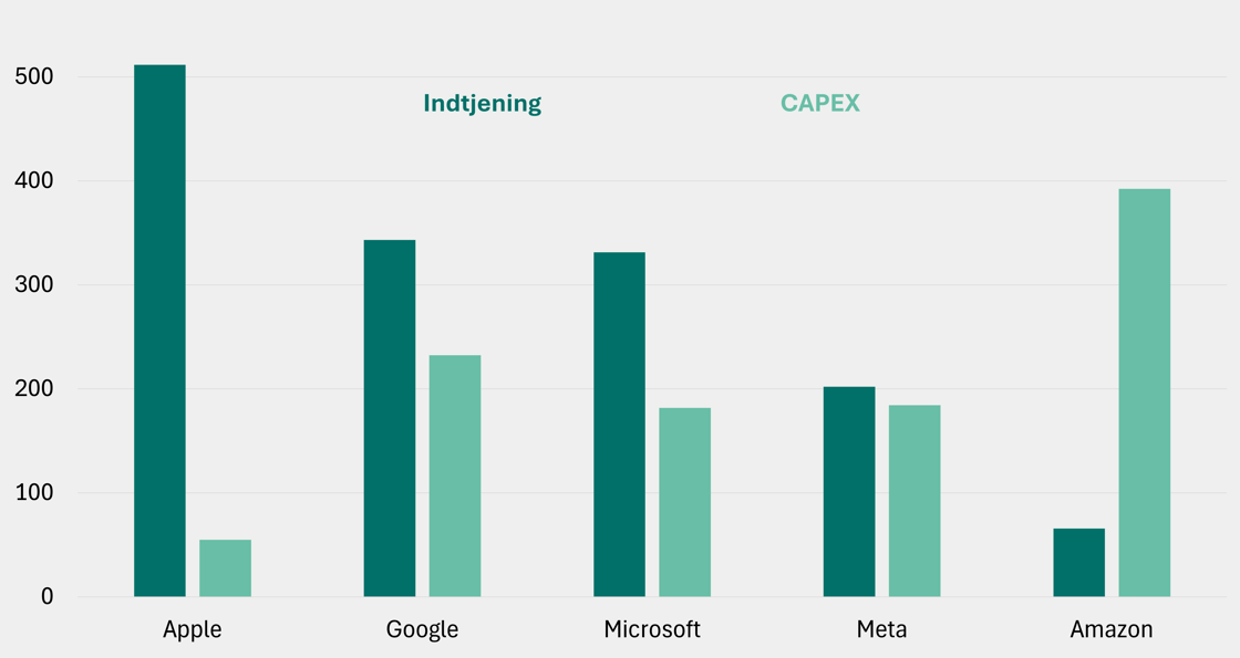 Figur 2 - AI, CapEx og FCF virksomheder